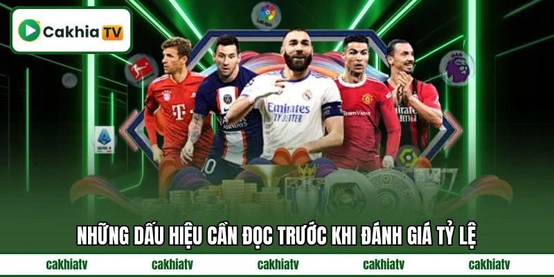Những dấu hiệu cần đọc trước khi đánh giá tỷ lệ